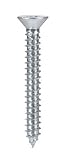 Hillman #80212 100PK 10x1-1/2 Screw