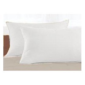 Natural Organic Eco-Friendly 2-Pack Alternative Down Standard Pillow By OrganicTextiles