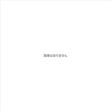 友屋 ガイドポ-ル ステンレス(H80cm)青 51354BLU