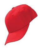 Flexfit Wooly 6-Panel Cap