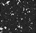 Zolatone HAMLET BLACK Quart - Spatter Finish