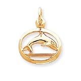 10k Dolphin IN FRAME Charm