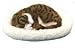 Sporting Goods : Pet Nap Sleeping Cat - Breathing Plush Brown Striped Cat Kitten