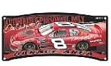 # 8 Dale Earnhardt Jr Garage Sign
