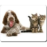 ITALIAN SPINONE DOG & KITTENS Mouse Mat / Pad