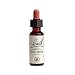 Bach Essence Wild Rose 20 Milliliters