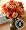 Amnesty International Assorted Roses