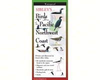 Steven M. Lewers Earth Sky Water LEWERSBPN125 Sibley's Backyard Birds of Pacific NW Coast