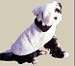 Sporting Goods : Vo Toys/Vip Berber/Fleece Coat Natural X Lg