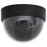 SE Dummy Security Camera, Dome Shape, 1 Red Flashing Light
