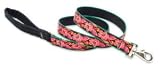 Lupine Large Dog Leash - Tropicana 4 ft.