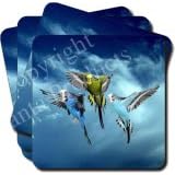 NEW-BUDGIES in FLIGHT Set of 4 Coasters