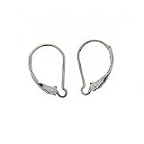 Sterling Silver Earrings Interchangeable Leverbacks (2)