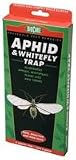APHID & Whitefly Trap