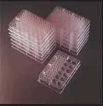 Dual Well Microplates