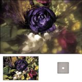 Click here to buy Cokin A072 Filter A C.spot Wa Grey 1 by Cokin.