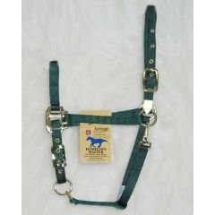 Hamilton 1-Inch Nylon Halter with Adjustable Chin, Green - Average Size (800-1100 lbs.)