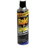 Raid Wasp & Hornet Killer Spray - 14 Oz