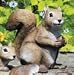 Squirrel Lawn/Garden Ornaments - Assorted - Assorted
