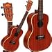 Kala KA-C Mahogany Concert Ukulele