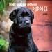   - Black Labrador Retriever Puppies 2009 Mini Wall Calendar