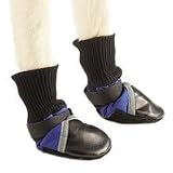 Dog Boots Set of 4 Large