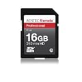 WINTEC FileMate 16GB Professional Class 10 Secure Digital SDHC Card