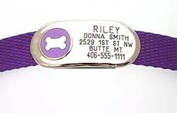 Jewelry ID Collar - Personalized Jewelry Pet ID Tag Attached to an Adjustable Nylon Collar - Choose your design, size & color!