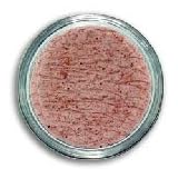 Ajika Black Salt Rock Salt Saindhav Indian Herb and Indian Spice by Ajika