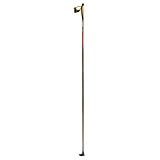 Exel Centra Cross Country Ski Poles 2010