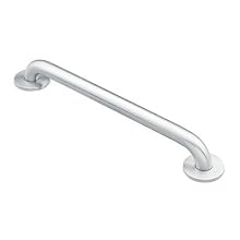 Moen SecureMount Collection Stainless Grab Bar