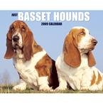 Just Basset Hounds 2009 Wall Calendar