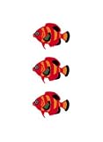 タトゥーシール【ミニサイズ　(5×9cm）】　熱帯魚-1