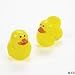 One Dozen (12) Plastic Ducky Shaped Easter Eggs