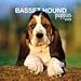 Basset Hound Puppies 2008 Mini Wall Calendar - MINI WALL CALENDARS