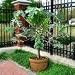 *EXOTIC*rare* DWARF PAPAYA*5 SEEDS*EZ GROW*sweet* #1059