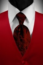 Tuxedo Vest - Solid Satin Scarlet with Coordinating Tapestry Tie