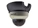Electronics : Plustek IPcam P1000A - Network camera - dome - color - audio - 10/100 - DC 5 V