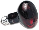 Zoo Med Nocturnal Infrared Heat Lamp