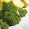 SUTTONS SEEDS: Parsley Moss Curled 2 Seeds (900 seeds)