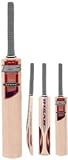 : Ihsan Inferno 350 Cricket bat