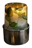 Exaco Trading 10330 Ice Lantern