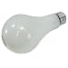 BULB 100W ROUGH SERVICE 100A/R