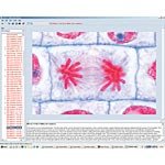Illustrated Resource Library - The Wonder of the Plant Cell CD ROM