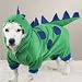 Casual Canine Dogzilla Dinosaur Costumes
