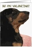 Be my valentine?, Puppy Card