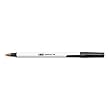BIC Round Stic Ball Pen, Fine Point, 0.8mm, Black, 12 Pens (GSF11-Blk)