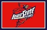 Iowa State Area Rugs