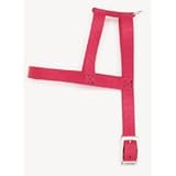 Coastal Pet Nylon Web Dog Harness (Red, 30 Inch Girth x 1 Inch W)