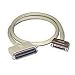 Cables To Go - 03560 - 6ft SCSI-2 MD50M to SCSI-1 C50M Cable